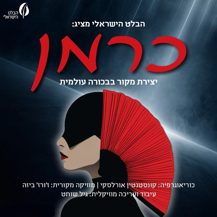 תמונה2