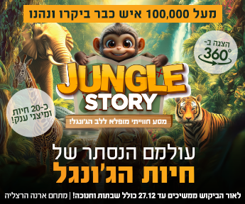 345X288 חנוכה (1)