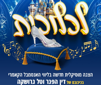 לכלוכית 345.288